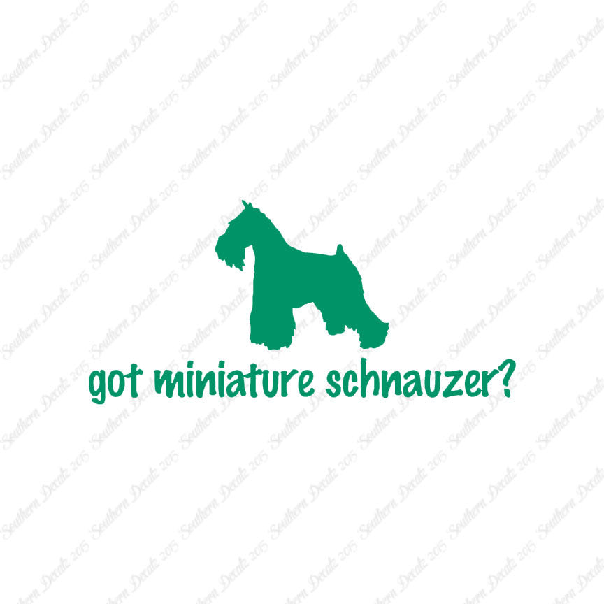 Got Miniature Schnauzer ? Dog Breed