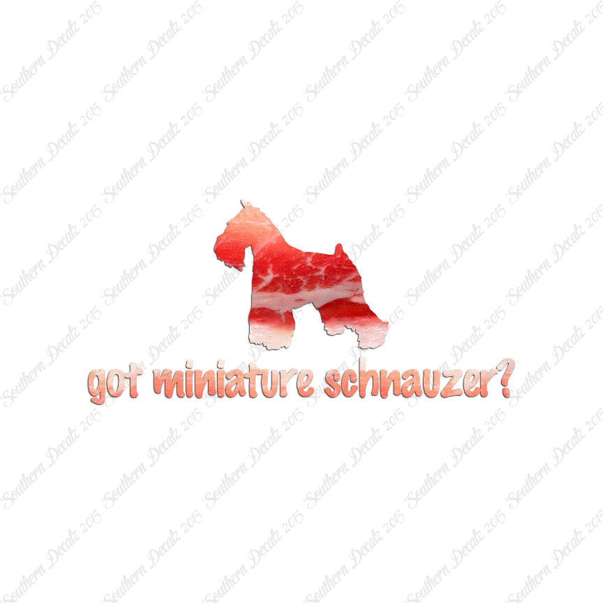 Got Miniature Schnauzer ? Dog Breed