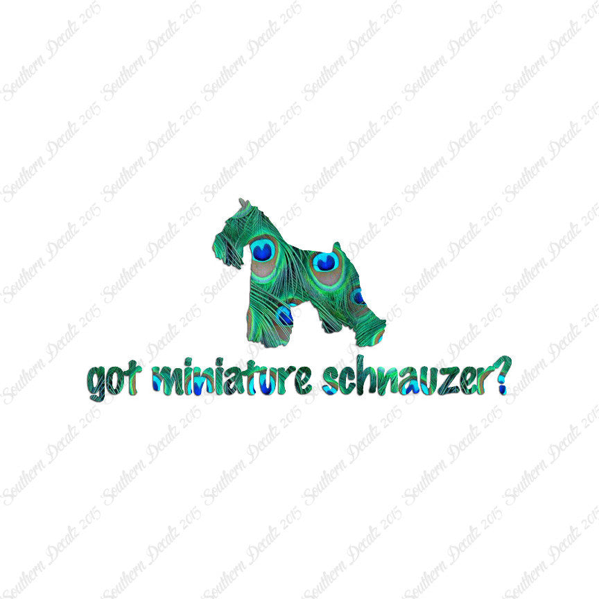 Got Miniature Schnauzer ? Dog Breed