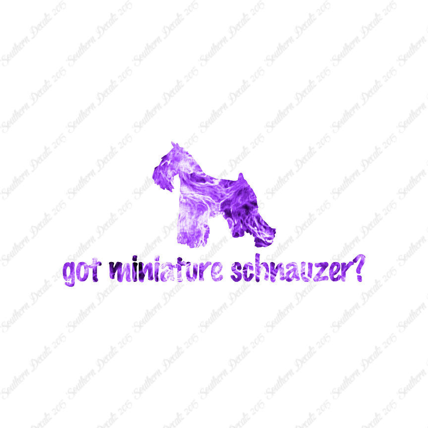 Got Miniature Schnauzer ? Dog Breed