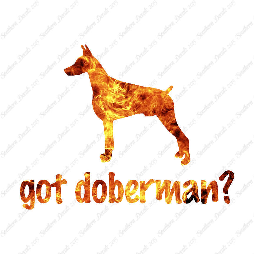 Got Doberman ? Dog Breed