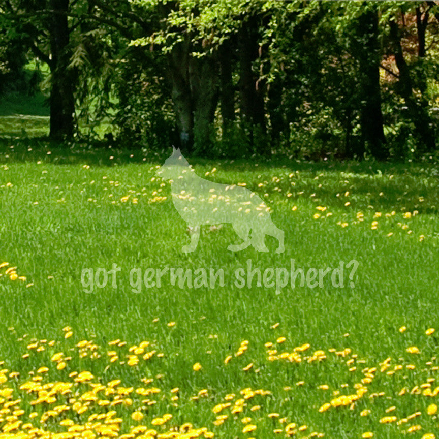 Got German Shepherd ? Dog Breed