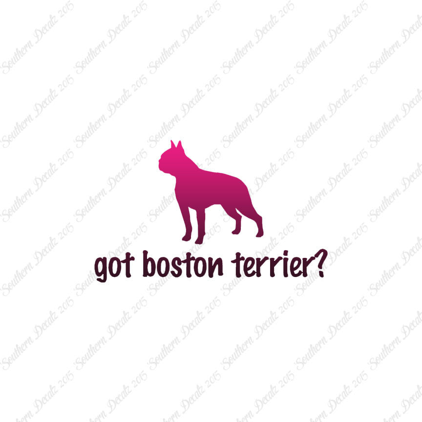 Got Boston Terrier ? Dog Breed