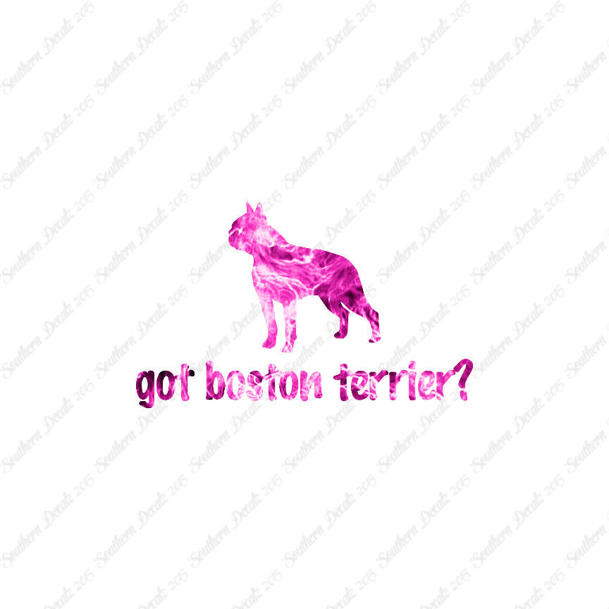 Got Boston Terrier ? Dog Breed