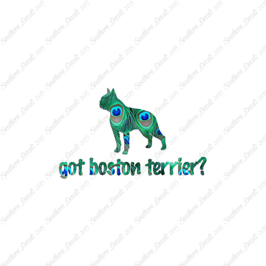 Got Boston Terrier ? Dog Breed