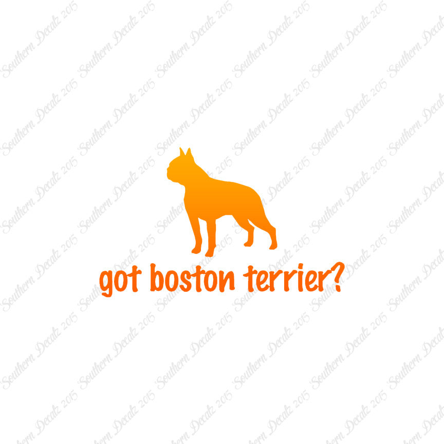 Got Boston Terrier ? Dog Breed
