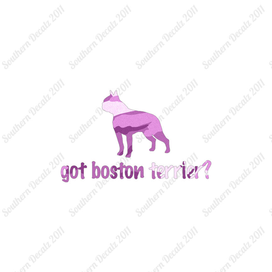 Got Boston Terrier ? Dog Breed