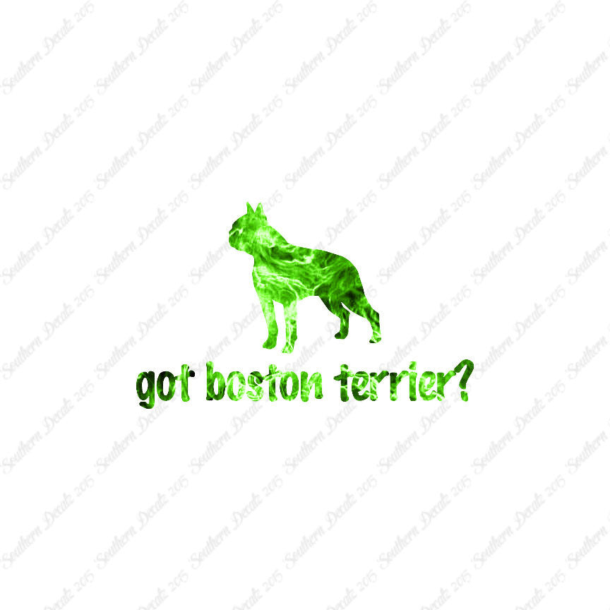 Got Boston Terrier ? Dog Breed