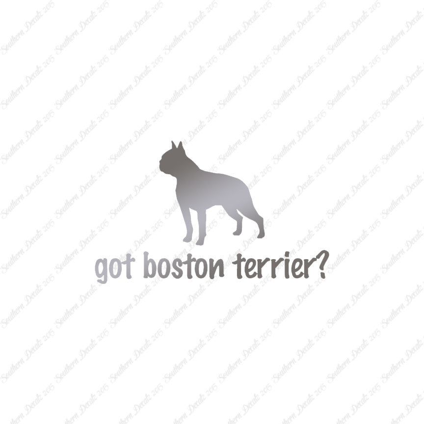 Got Boston Terrier ? Dog Breed
