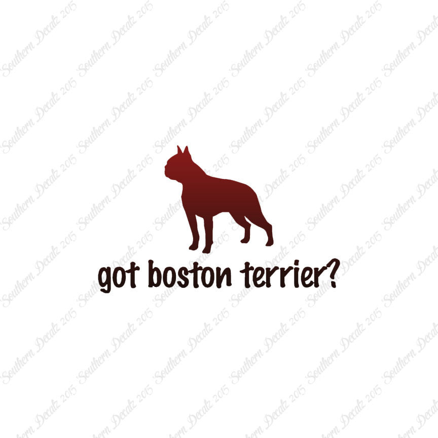 Got Boston Terrier ? Dog Breed