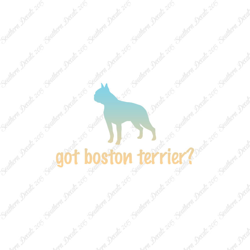 Got Boston Terrier ? Dog Breed