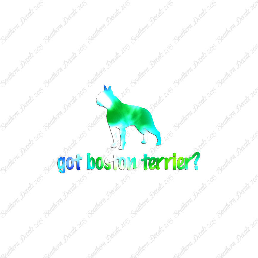 Got Boston Terrier ? Dog Breed