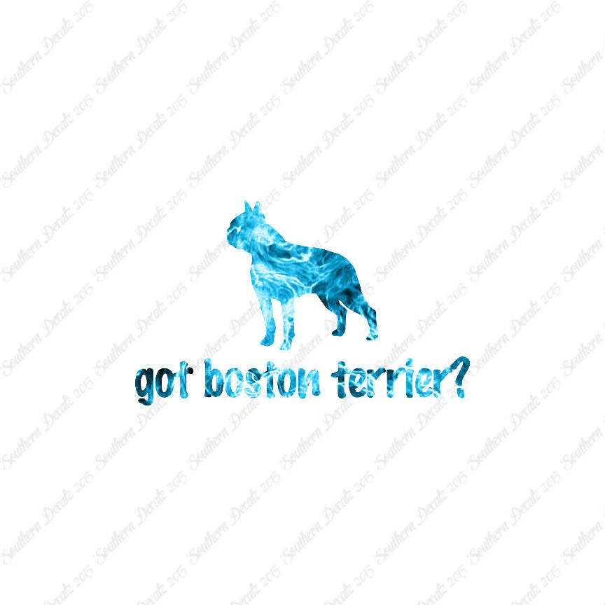 Got Boston Terrier ? Dog Breed