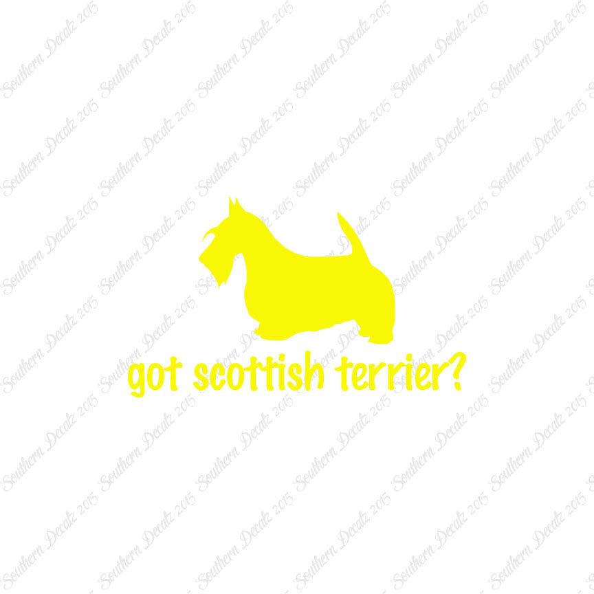 Got Scottish Terrier ? Dog Breed