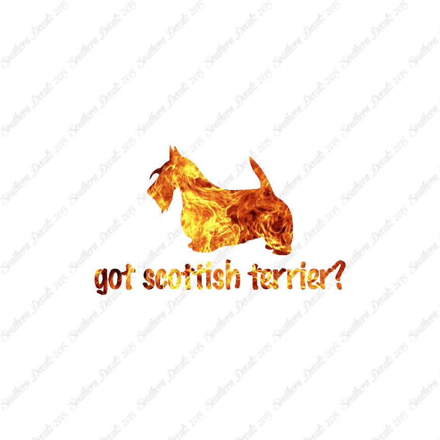 Got Scottish Terrier ? Dog Breed