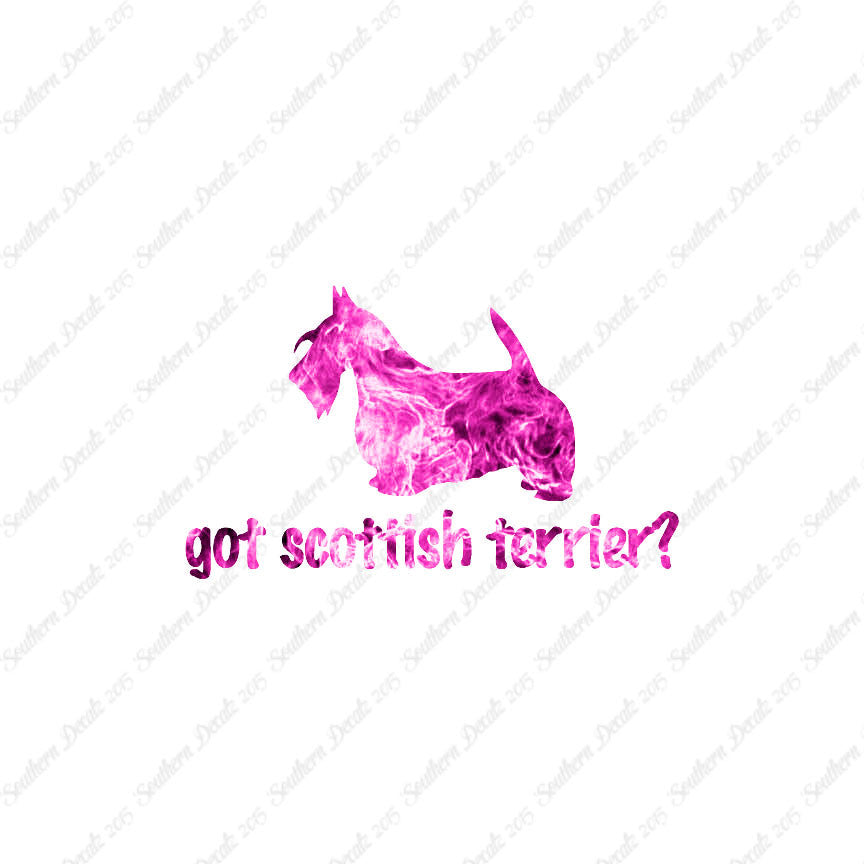 Got Scottish Terrier ? Dog Breed