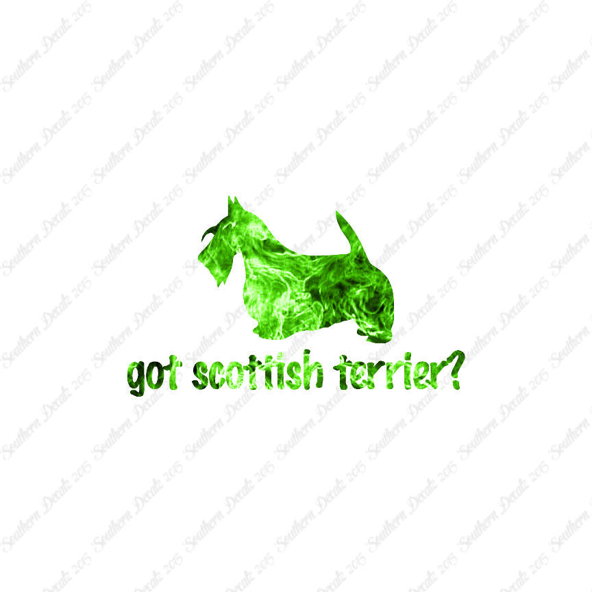 Got Scottish Terrier ? Dog Breed