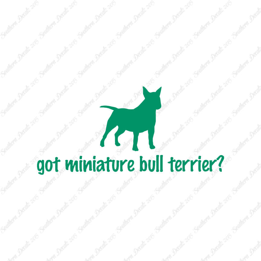 Got Miniature Bull Terrier ? Dog Breed