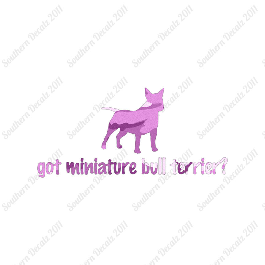 Got Miniature Bull Terrier ? Dog Breed