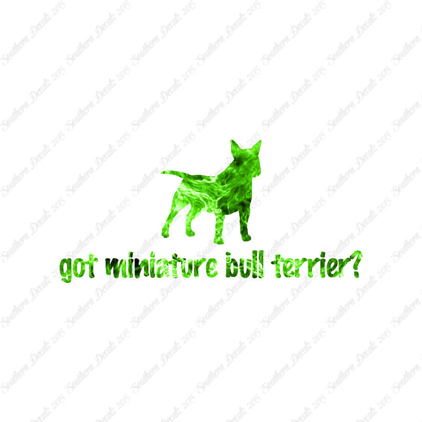 Got Miniature Bull Terrier ? Dog Breed