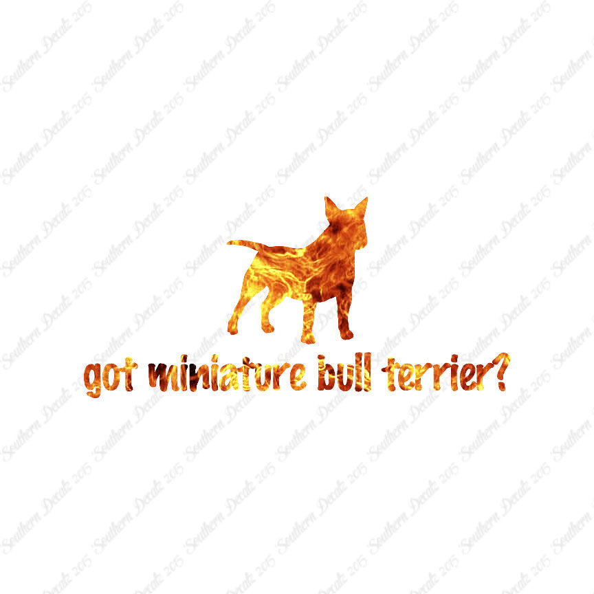 Got Miniature Bull Terrier ? Dog Breed