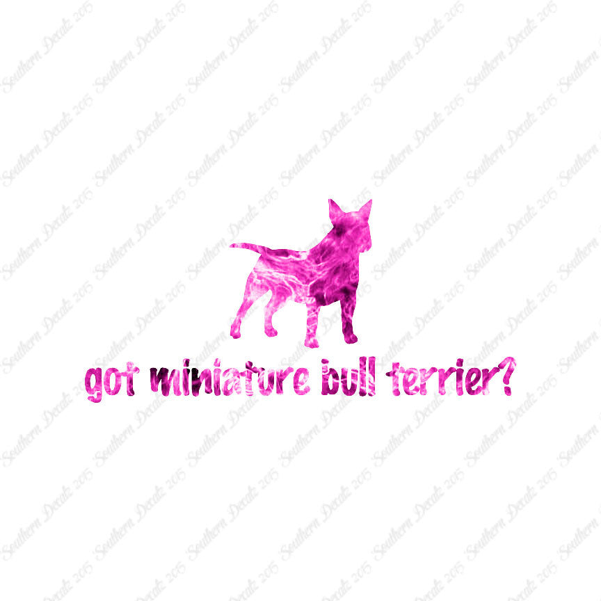 Got Miniature Bull Terrier ? Dog Breed
