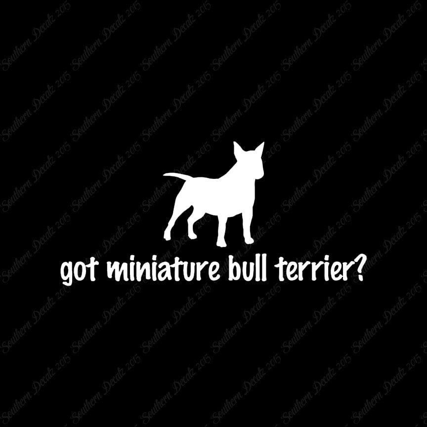 Got Miniature Bull Terrier ? Dog Breed
