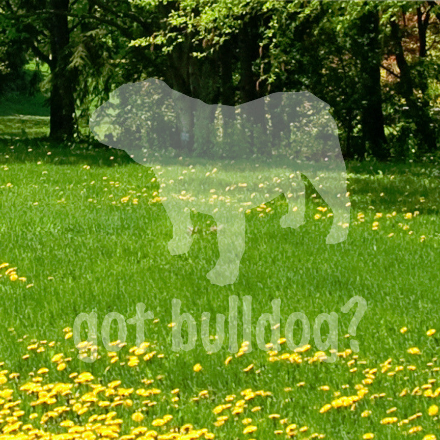 Got Bulldog ? Dog Breed