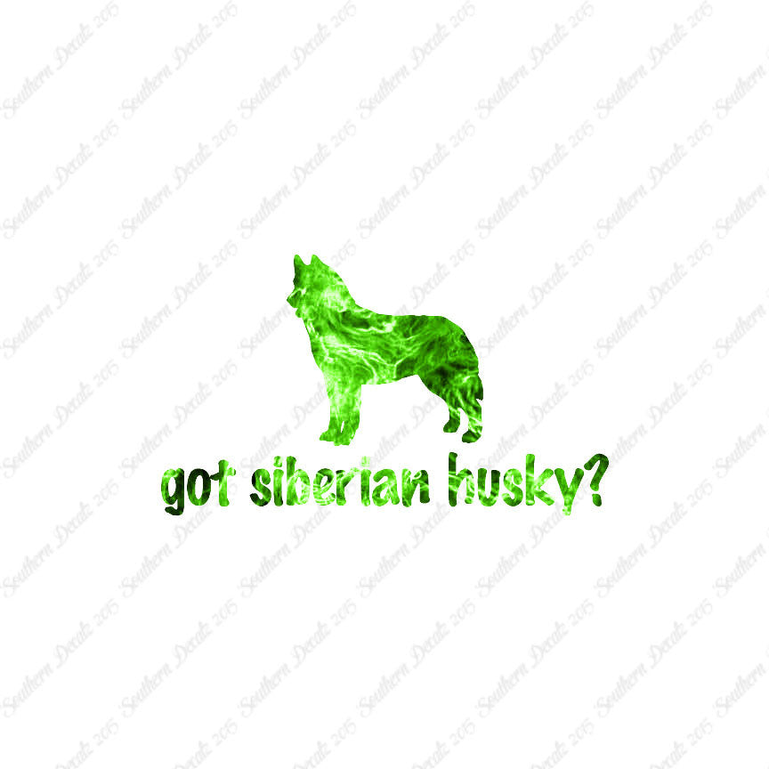 Got Siberian Husky ? Dog Breed