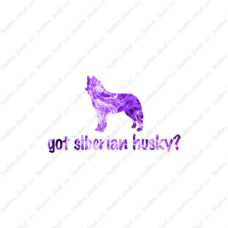 Got Siberian Husky ? Dog Breed