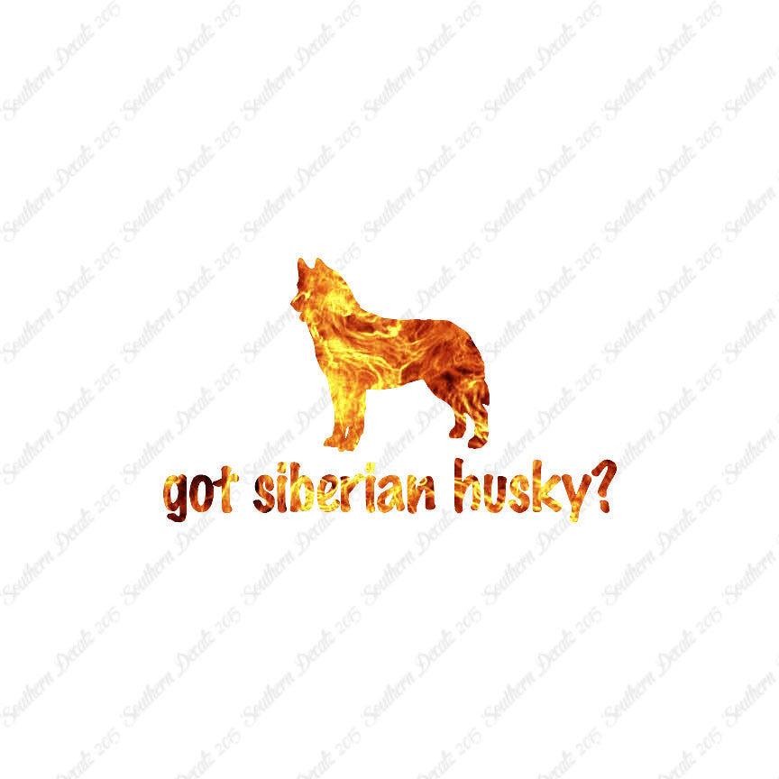 Got Siberian Husky ? Dog Breed