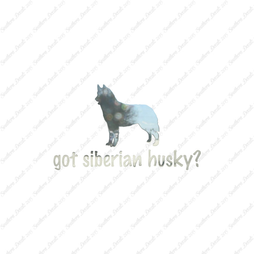 Got Siberian Husky ? Dog Breed