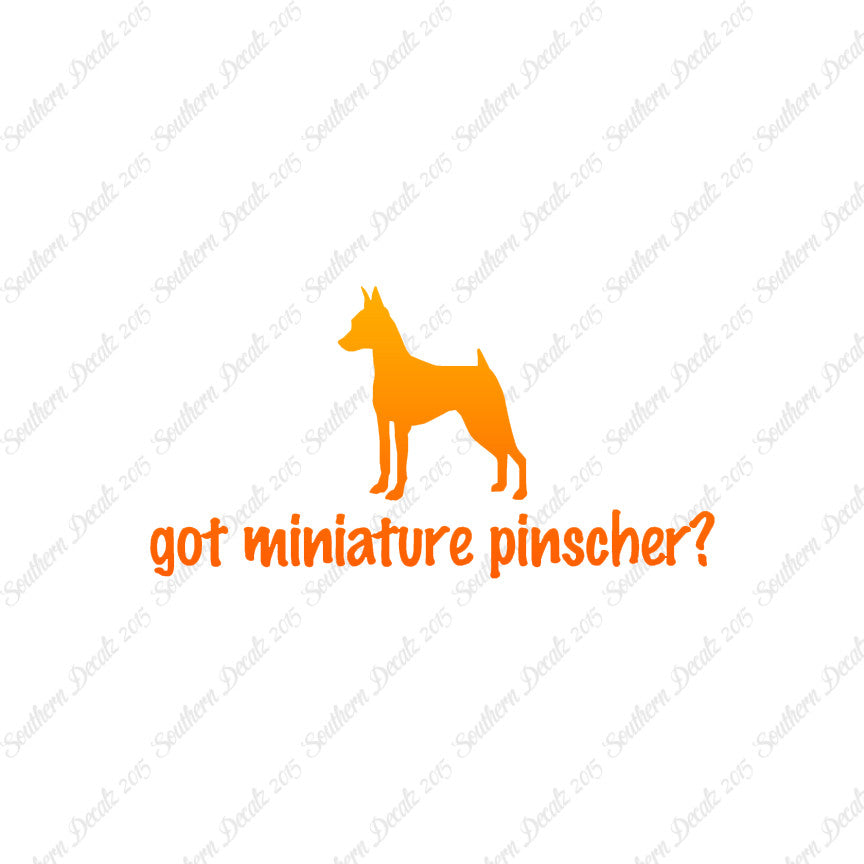 Got Miniature Pinscher ? Dog Breed