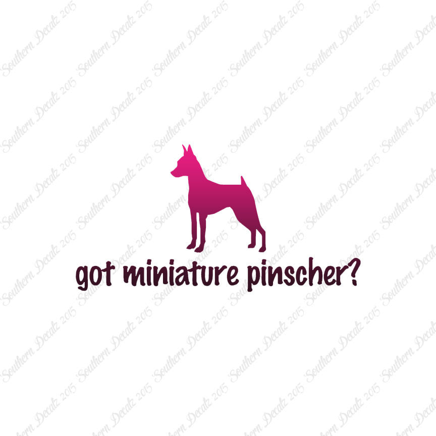 Got Miniature Pinscher ? Dog Breed
