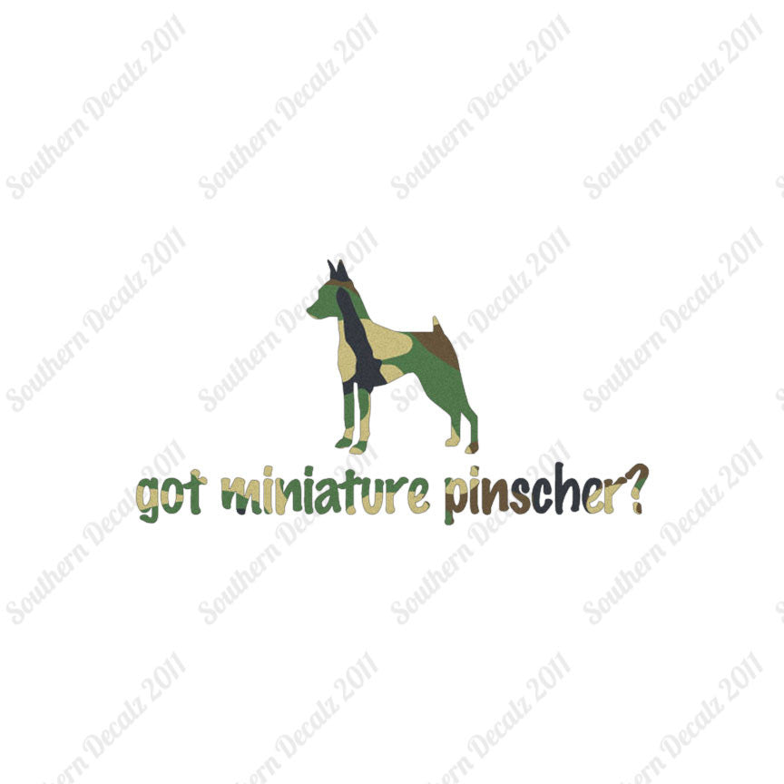 Got Miniature Pinscher ? Dog Breed