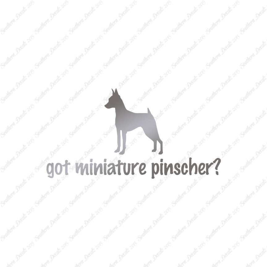 Got Miniature Pinscher ? Dog Breed
