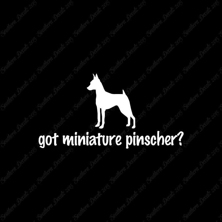 Got Miniature Pinscher ? Dog Breed