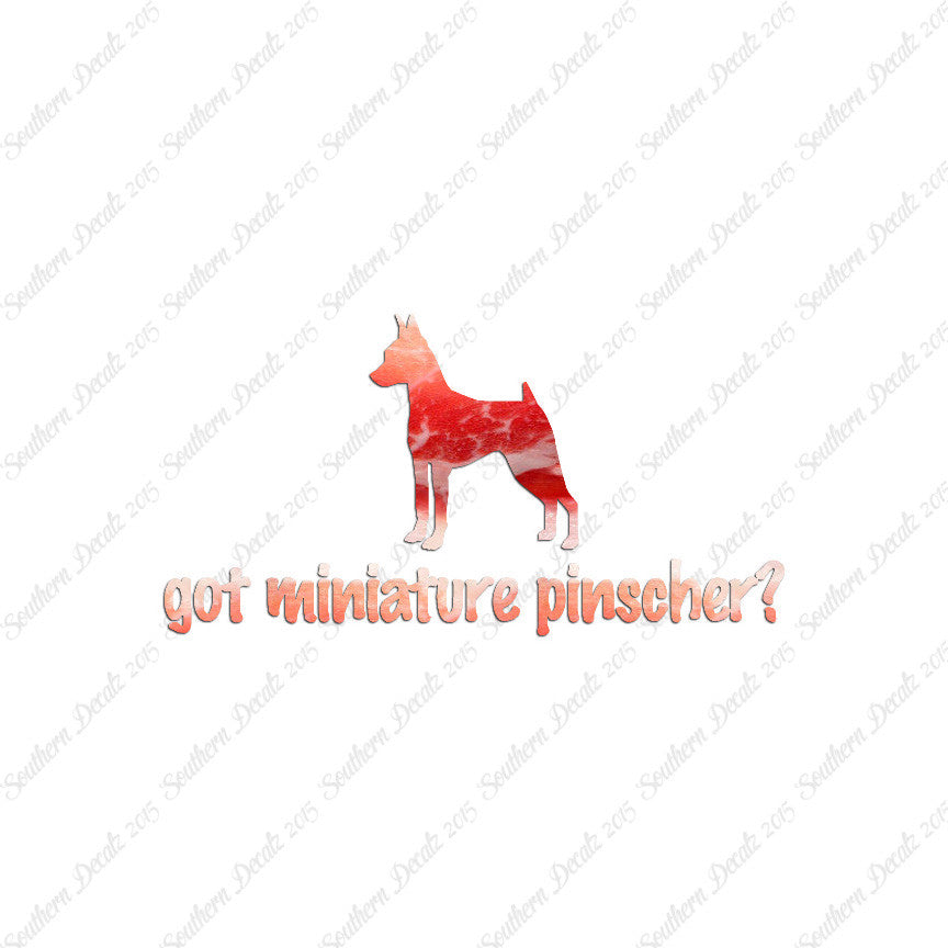 Got Miniature Pinscher ? Dog Breed