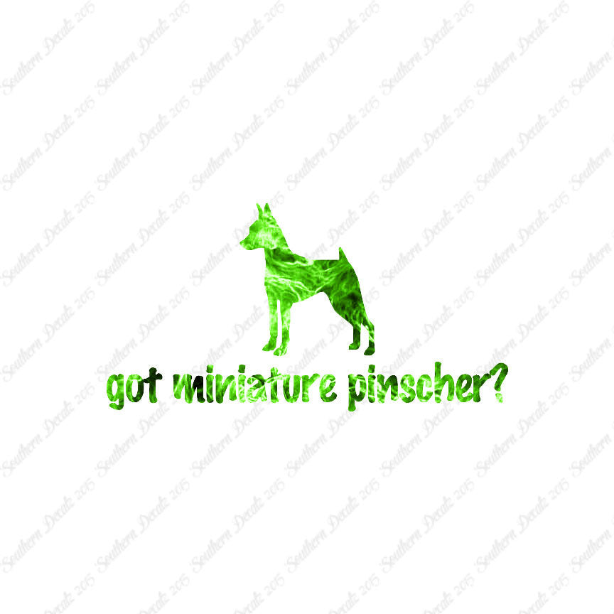 Got Miniature Pinscher ? Dog Breed