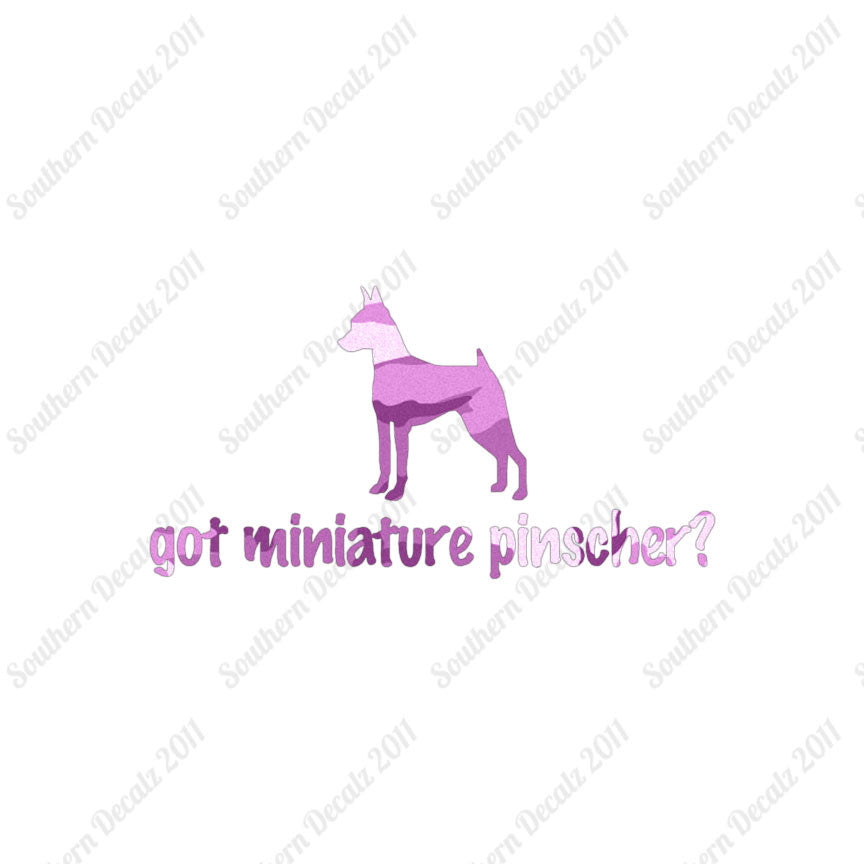 Got Miniature Pinscher ? Dog Breed