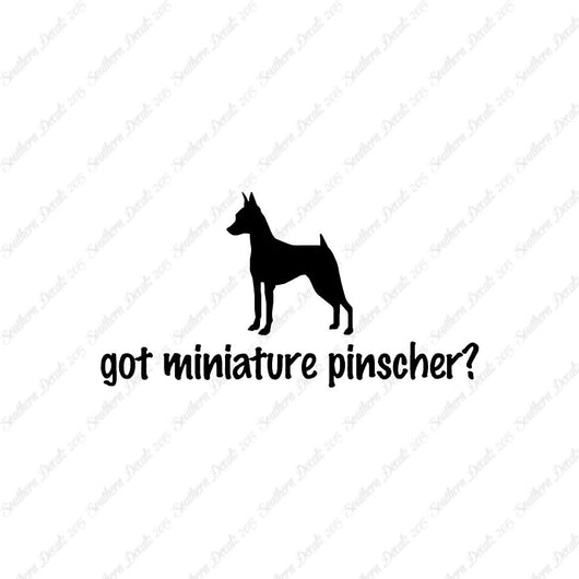 Got Miniature Pinscher ? Dog Breed