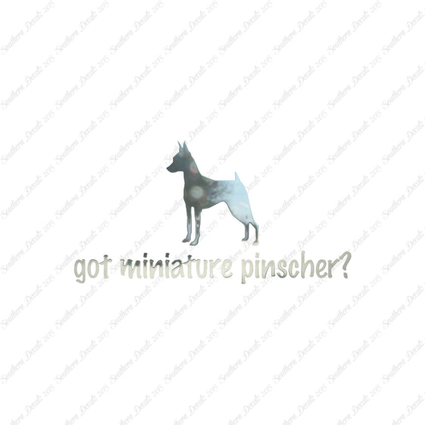 Got Miniature Pinscher ? Dog Breed