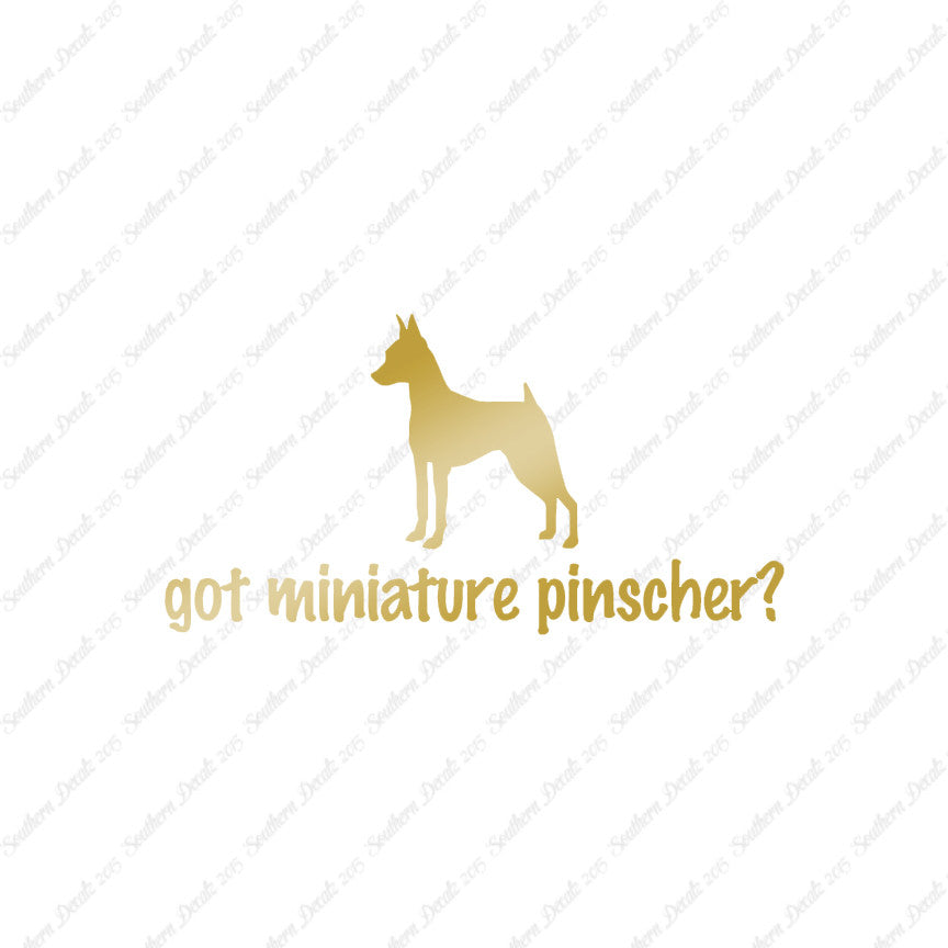 Got Miniature Pinscher ? Dog Breed