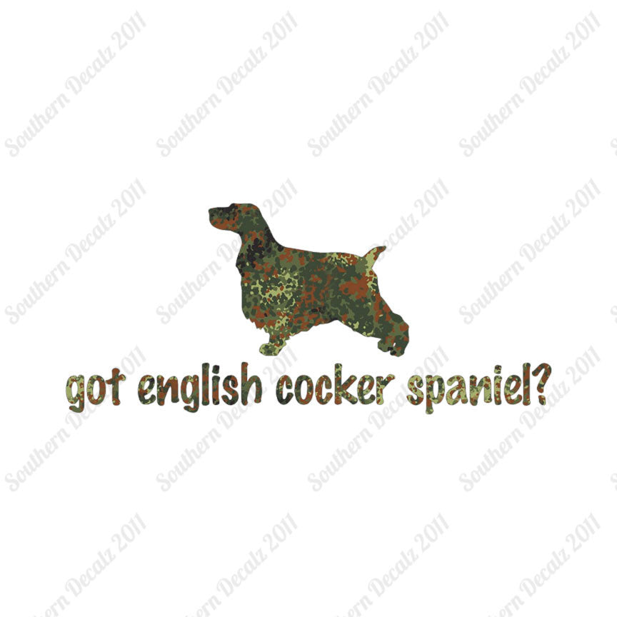 Got English Cocker Spaniel ? Dog Breed