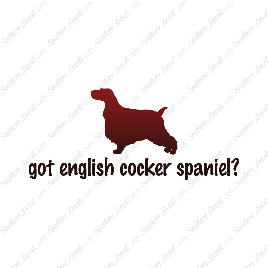 Got English Cocker Spaniel ? Dog Breed