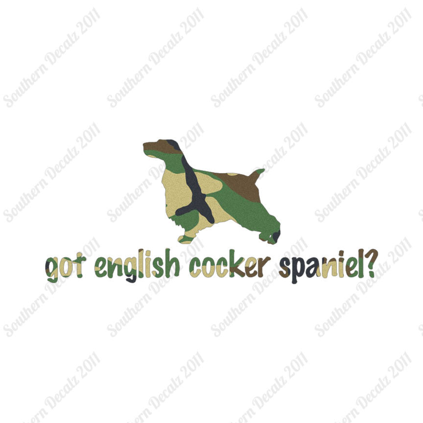 Got English Cocker Spaniel ? Dog Breed