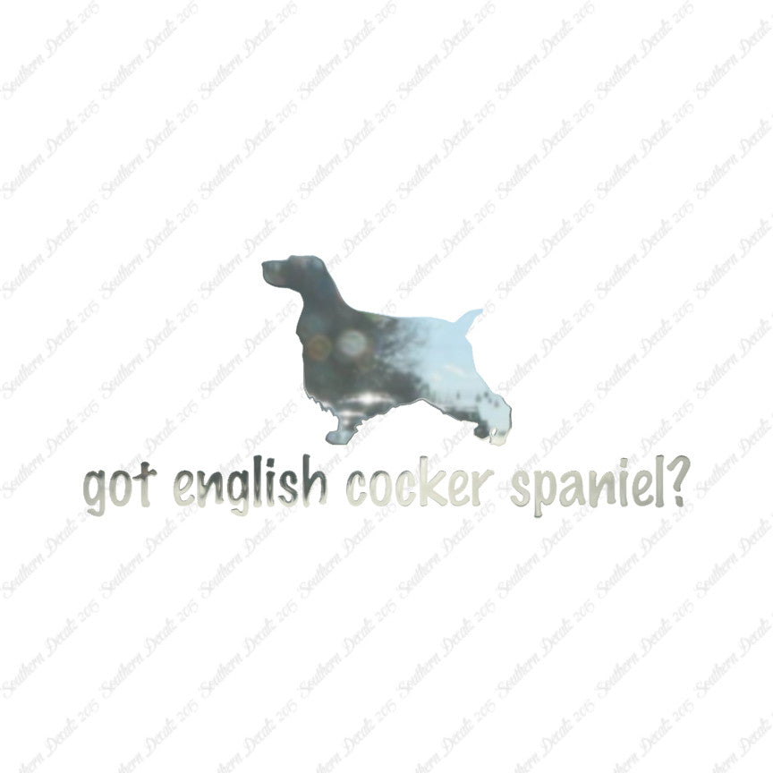 Got English Cocker Spaniel ? Dog Breed
