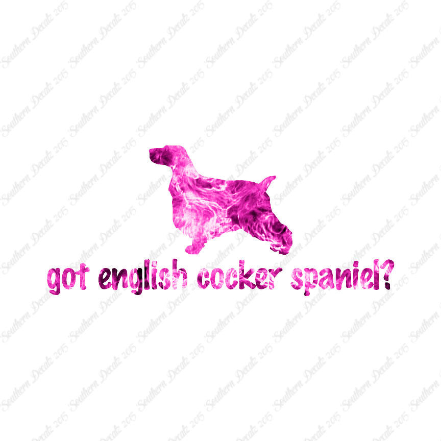 Got English Cocker Spaniel ? Dog Breed