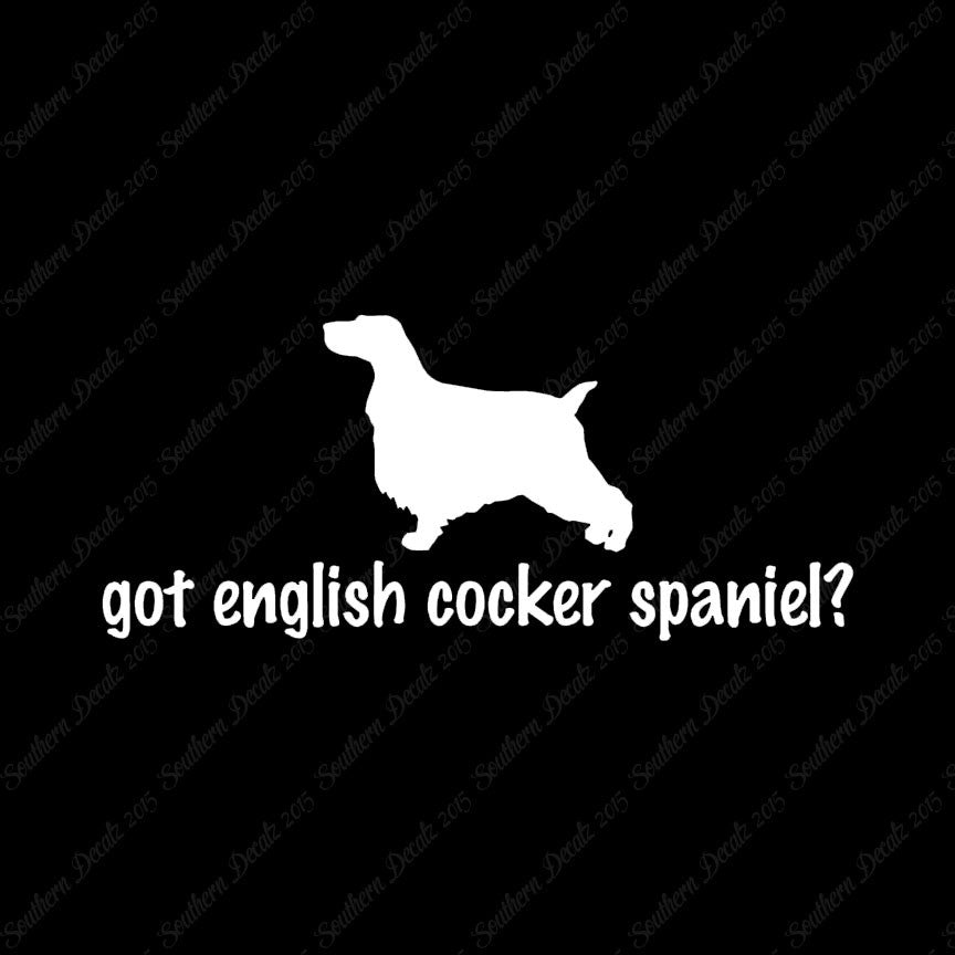 Got English Cocker Spaniel ? Dog Breed