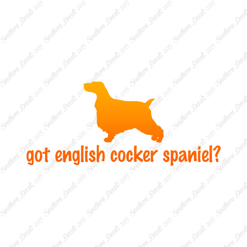 Got English Cocker Spaniel ? Dog Breed